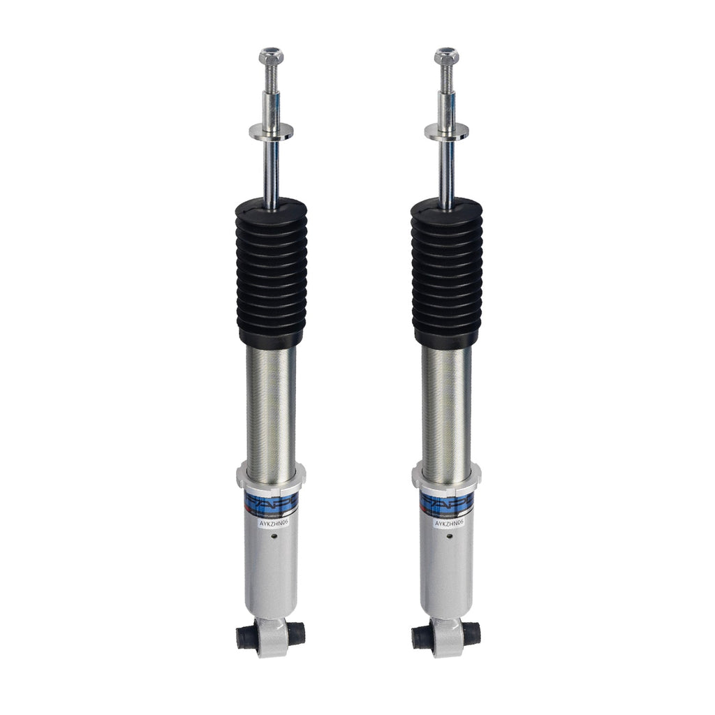 16-Level Damping Coilover For Tesla Model 3 2WD 2017+ PS039920